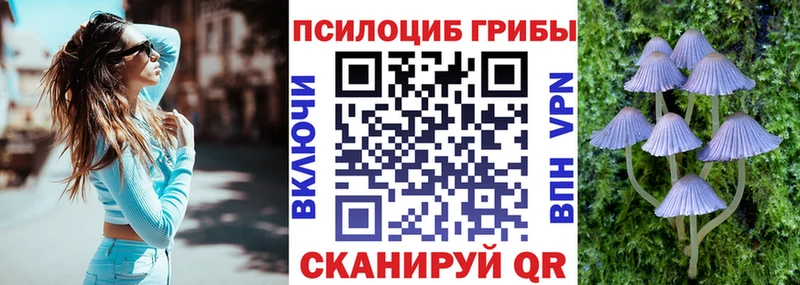 Псилоцибиновые грибы Cubensis  Облучье 